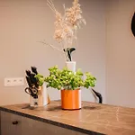 Appartementhotel Seeblick 4*