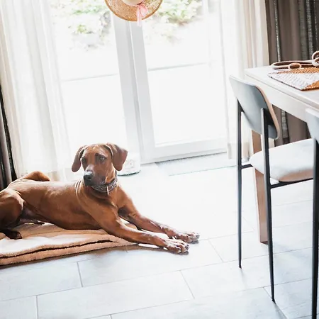 Appart hôtel Appartementhotel Seeblick