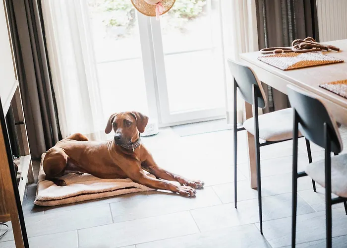 Lejlighedshotel Appartementhotel Seeblick